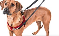 2 Hounds Design Freedom No-Pull Dog Harness & Leash Adjustab