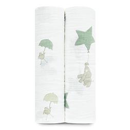 aden + anais swaddle 2 pack,up up and away